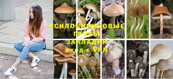 хмурый Алексин