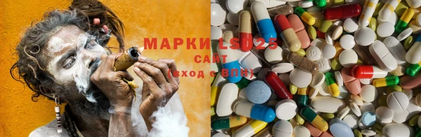 ПСИЛОЦИБИНОВЫЕ ГРИБЫ Алзамай