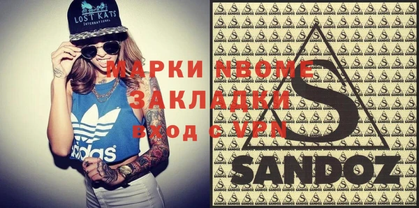 хмурый Алексин
